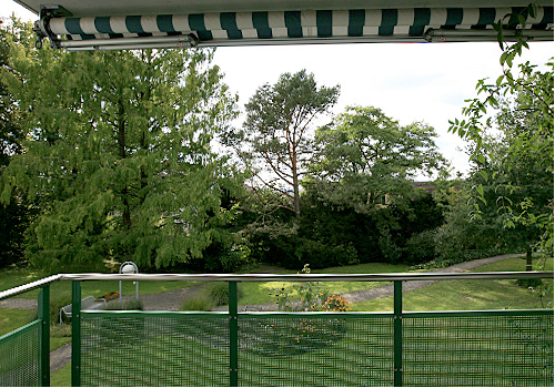 Balkon - Blick in den Park